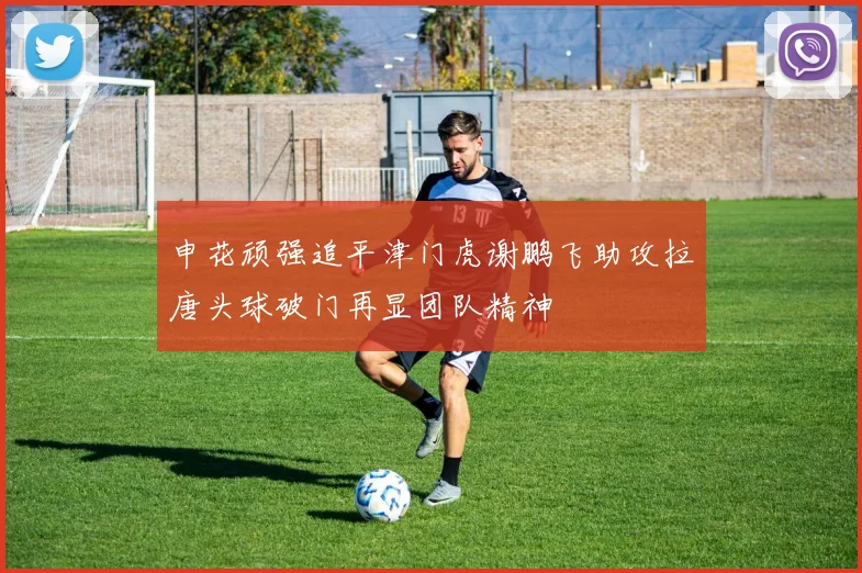 申花顽强追平津门虎谢鹏飞助攻拉唐头球破门再显团队精神