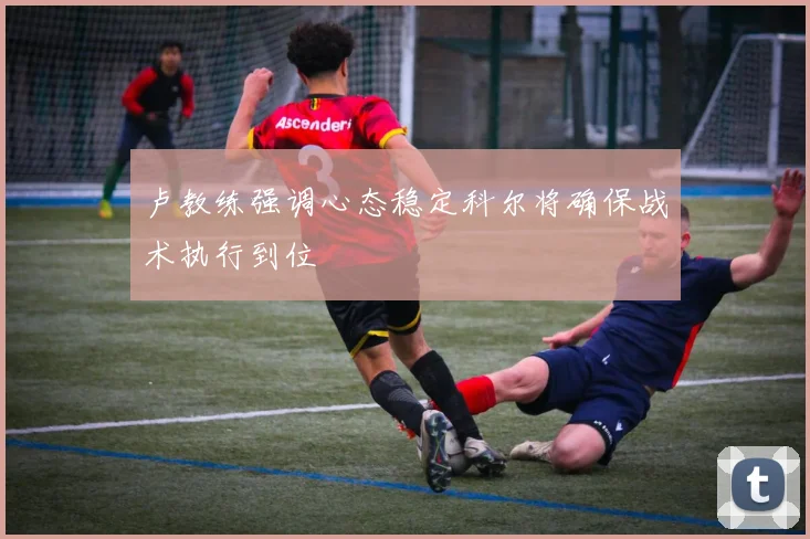 卢教练强调心态稳定科尔将确保战术执行到位